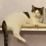 Miny Miny, Born in 2009